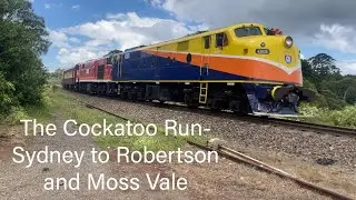 Cockatoo Run  November 2025