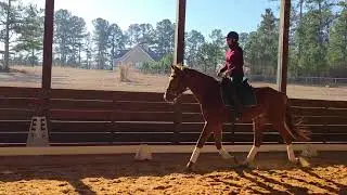 Debra Hayes working with Z SecretSenzation