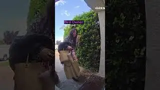 Homeowner Catches Escaped Bird!