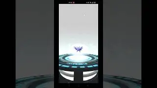 Shiny Gligar To Shiny Gliscor ~ Pokemon Go #shinypokemon #gliscor