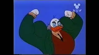 The rules of Toon Physics - Toon Disney UK