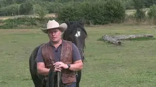 Hearts & Horses Live med Ville! Hur kan vi få mera balans i en extrovert häst!
