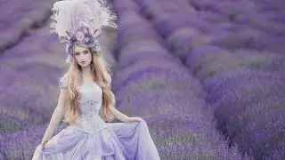 Lavender || Photo session