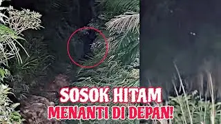 PELIK.. DENGAR SUARA BUDAK DALAM HUTAN JAM 2PAGI!?
