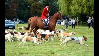 Ashwell Show