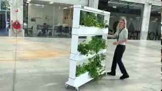 Vegger Indoor garden