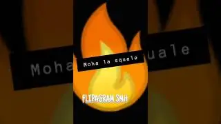 Moha la squale chez Babou