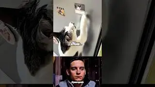 Cat and Rabbit&rsquo;s Unbreakable Friendship Will Break Your Heart 💔 | Emotional Animal Story