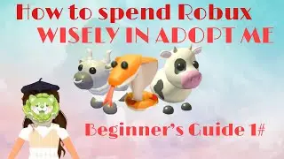 Adopt Me Beginner&rsquo;s Guide 1# How To Spend Robux Wisely In Adopt Me!