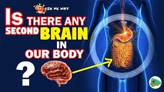 Brain Savior - Brain Savior Real Reviews