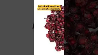 Why Is Schisandra Berry One Of The 🏆GREATEST🏆 Herbs We Carry!