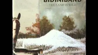 Bidiniband - Land Is Wild