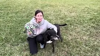 Dog Soccer - An Interactive Fetch Soccer Toy Designed for Dogs!