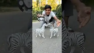 RC Remote Control Zebra Unboxing And Testing 🦓