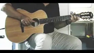 Taylor 214 CE Nylon series: the Fisherman by Leo Kottke