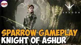 Paragon Full Round | Knight of Ashur Sparrow