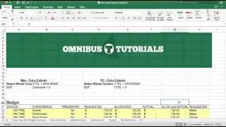 Excel - Cut a Column and Insert a Column for PC and Mac