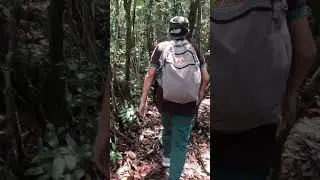 Silent Journey to a Breathtaking Mountain Peak | Virtual Walking ASMR