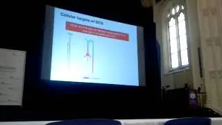 Asif Rahman - Cellular Mechanisms of tDCS