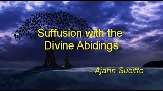 Suffusion with the Divine Abidings - Ajahn Sucitto