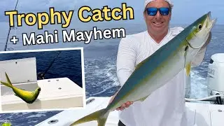 Mahi Mayhem on the Deep Drop! Trophy Rainbow Runner & Sashimi Catch and Cook