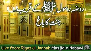Live from Riyaz ul Jannah | Masjid-e-Nabawi ﷺ | A Piece of Paradise on Earth