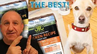 Best Commercial Fresh & Healthy Dog Food That You Can Buy