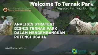 Video Immersion Program MM FEB UGM - Kelompok 10 | Executive MBA 50
