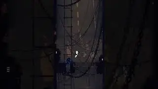Lizard jumpscare [61 days until downpour] #shorts