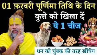 1 फ़रवरी पूर्णिमा तिथि माघ रविवार के दिन कुत्ते को खिला दें ये 1 चीज #premanandji