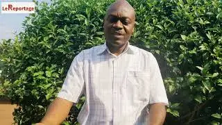 Interview avec Inoussa NJUMBOKET, Virunga landscape manager @WWF - RDC