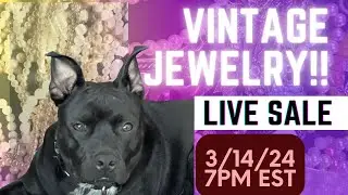 Vintage Jewelry Sale 7pm EST - Cloisonne - Celluloid - W Germany - Lucite - Brooches and MORE!!