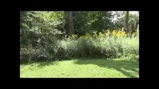 Home For Sale @ 6933 County Road 57, Mansfield (Johnsville) OH