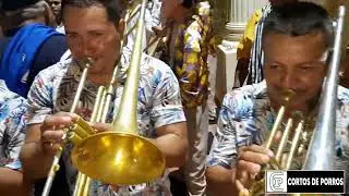 Entre cienagas y playones - Banda Reina Del Porro de Rabolargo (En vivo)