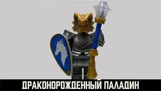 217 - Драконорожденный Паладин / Dragonborn Paladin.