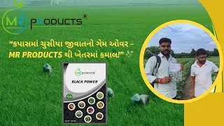 &ldquo;કપાસમાં ચુસીયા જીવાતનો ગેમ ઓવર &ndash; MR Products થી ખેતરમાં કમાલ!&rdquo; 🌿✨