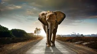 African Epic Soundtrack - epic cinematic music / epic OST