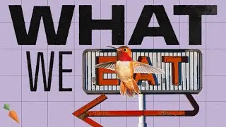 The Environmental Impact Of Our Food | What We Eat Documentary | Episode 4
