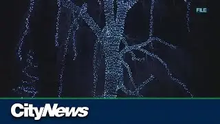 Calgary closures due to cold weather