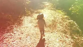 Samuel Copier and the I.L.F. - The Trees Are Listening (Experimental Psychedelic Folk) | Music video