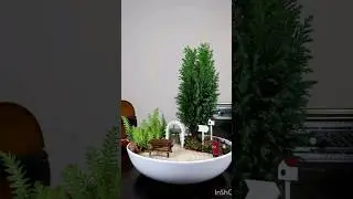 Tray garden 🏡🏡 decor ideas// small creative garden ideas #ytshorts