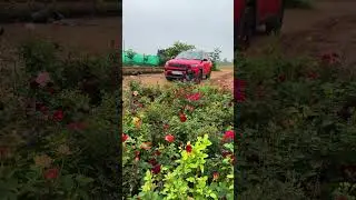 🌿✨ പുതിയ ലോഡ് തെരഞ്ഞെടുക്കുന്നു ✨🌿തമിഴ്നാട്ടിൽ നിന്ന് fresh plant load select cheyyunnu