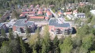 Ramsinniemi