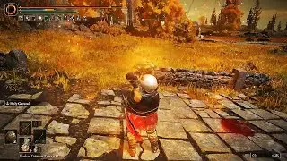 Seppuku + Holy Ground opens SPECIAL moves in Elden Ring
