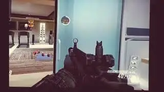 Bo2 Feed