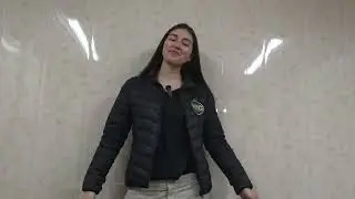 Mic comercial punta arenas