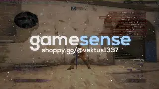 hvh ft. gamesense.pub/skeet.cc after update (11k, 9k clip)