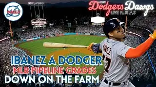 Dodgers Dawgs Live: Who is Andy Ibanez? MLB Pipeline Grades, Down on the Farm
