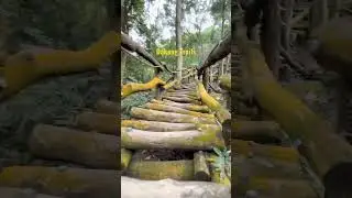 Taiwan trails you can hike in 2023!   #hike #nature #hiking #mountains #travel #adventure