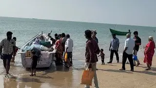 ஞாயிற்றுக்கிழமை மீன்கள் ஏலம் 🐟 #fishing #seafood #trending #tamil #shortvideo 